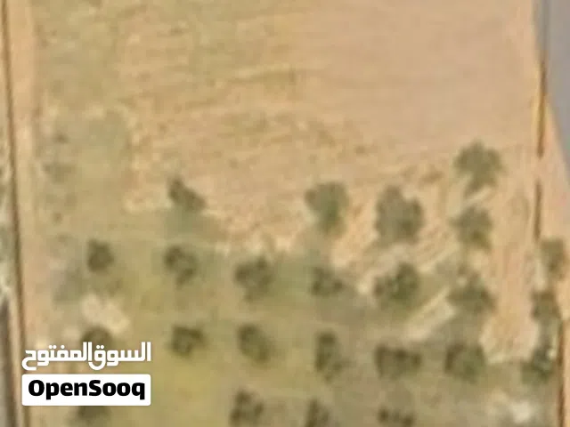 قطعه ارض للبيع السراج