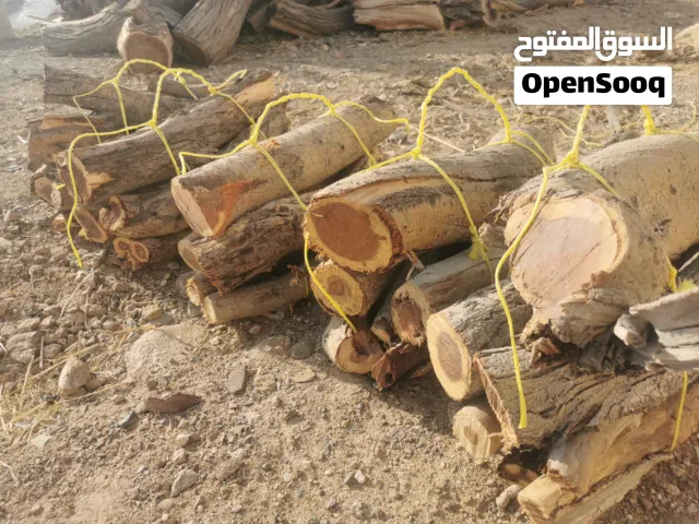 حطب سمر ربط حطب طيب وربط طيبات