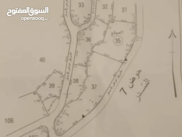 باسل  محمد محمود احمد
