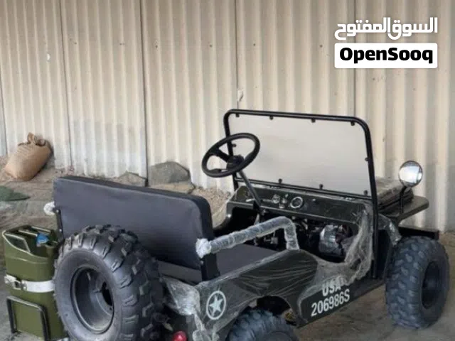 2026 ميني اخرى