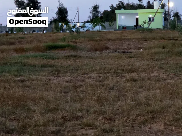 Farm Land for Sale in Sirte Other