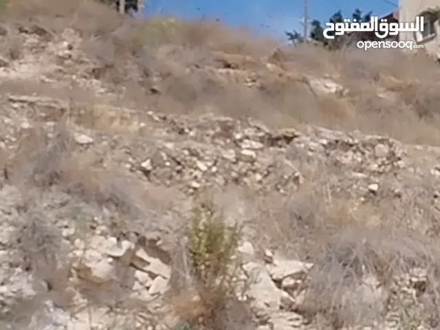 ارض للبيع جنين حي المراح حارة دبوس