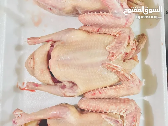 دواجن حمام وبط وديوك طازجه ومذبوحه ومنظفه