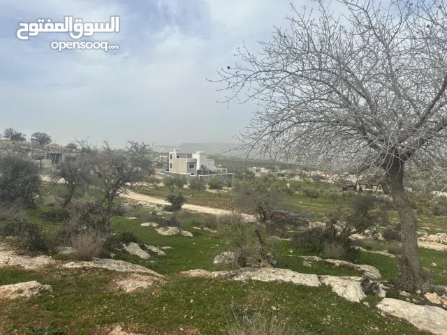 Mixed Use Land for Sale in Zarqa Birayn