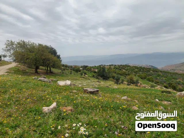 Residential Land for Sale in Ajloun Other