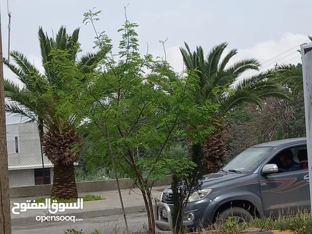 بيوت مستقله ومجمعات تجاريه للبيع في ماحص