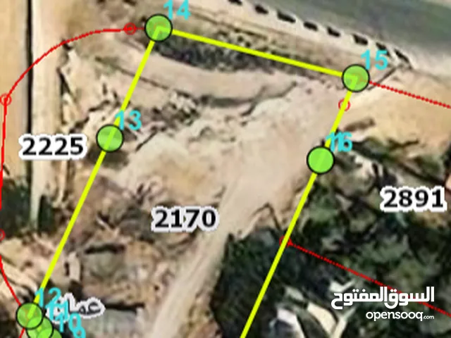 Residential Land for Sale in Amman Al Hashmi Al Janobi