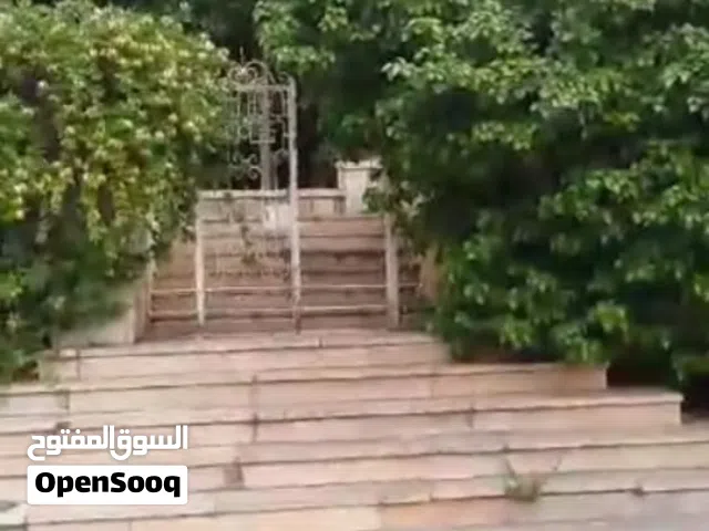 950 m2 More than 6 bedrooms Villa for Sale in Baalbek Other