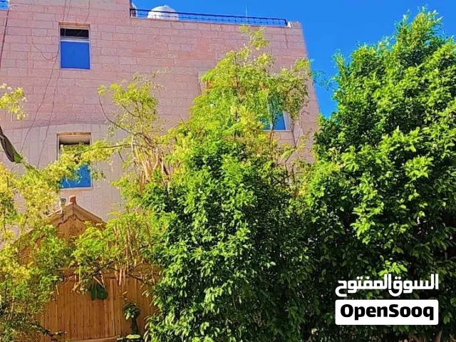 استوديو  مفروشه للايجار