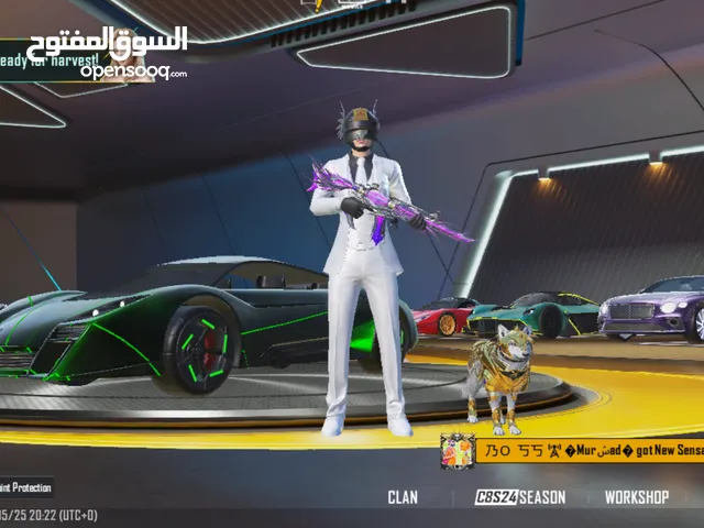 Pubg Accounts and Characters for Sale in Giza