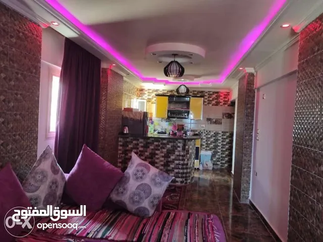100m2 2 Bedrooms Apartments for Rent in Alexandria Agami