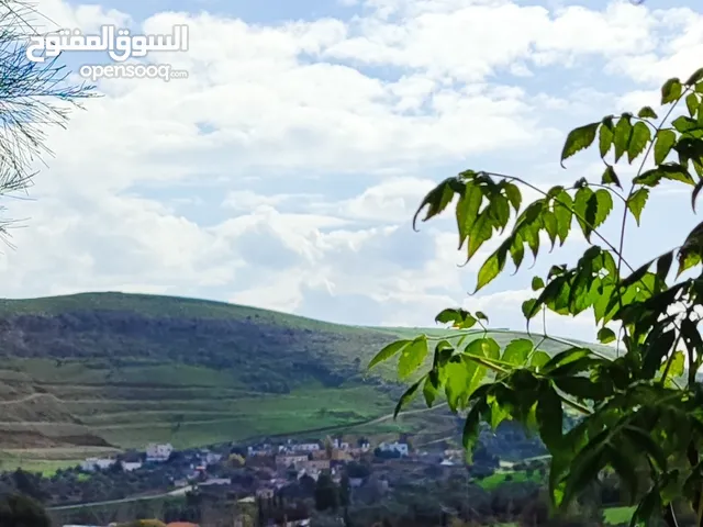As Alkhatib alkhateeb