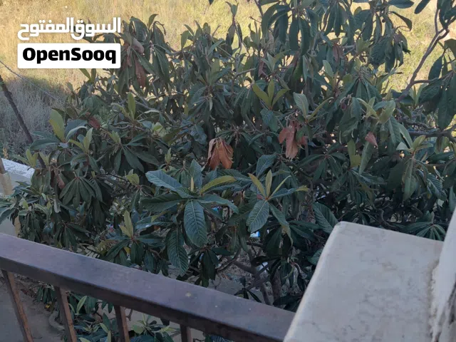 استديوهات للايجار