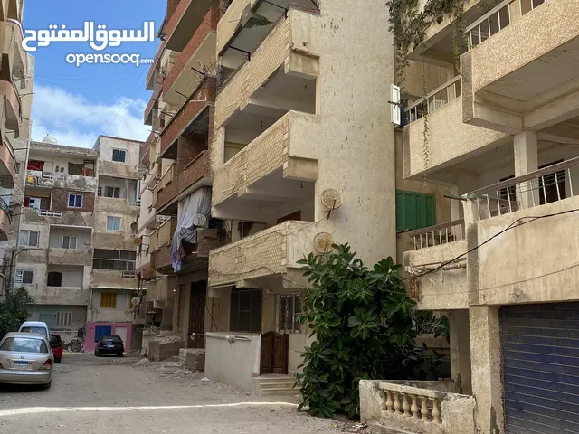150m2 3 Bedrooms Apartments for Sale in Alexandria Al Bitash