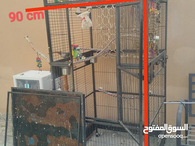 Ultimate Bird Paradise – Fully Equipped Cage + Wooden Stand! جنة الطيور الكاملة – قفص مجهز بالكامل