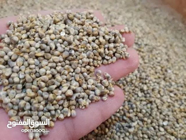 2 اكياس قصب وزن 30 كيلو للبيع سعر الكيس 130 دل