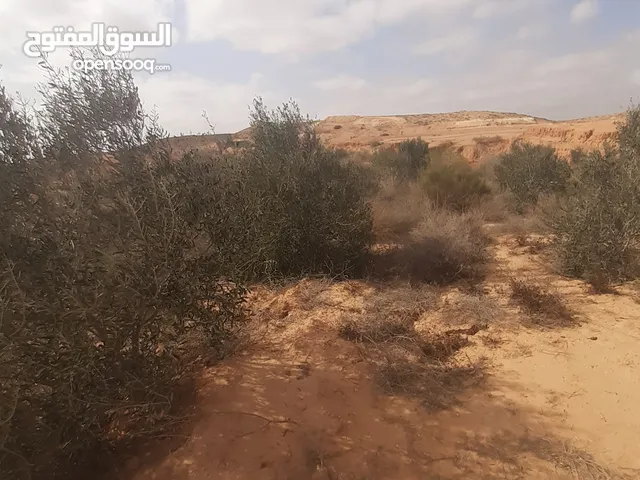 Farm Land for Sale in Murqub Souq Elkhamis