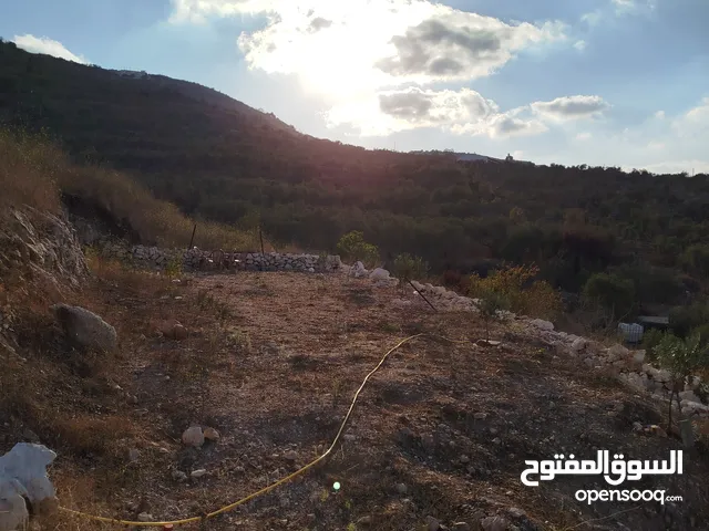متوفر عدة قطع ارض للبيع بلعا تصنيف A