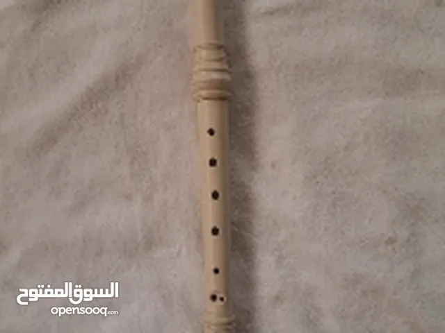 آلة الريكوردر أو الريكورد open flute open flutes with internal duct with fingerholes