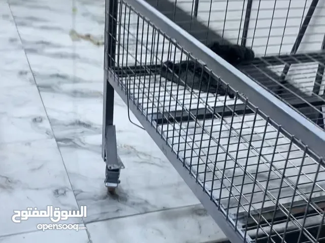 غراض باله جديده