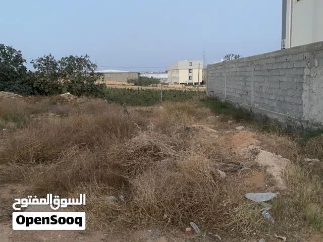 ارض للبيع في النجيلة