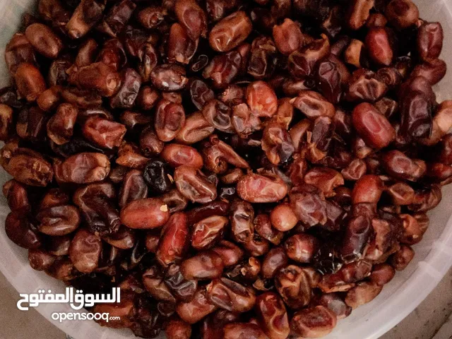 تمور جديده لهذا العام2025 مزناج وخلاص وخنيزي ونغال الكيلو600بيسه