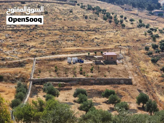 مزرعه للبيع نادره خربت المطوي