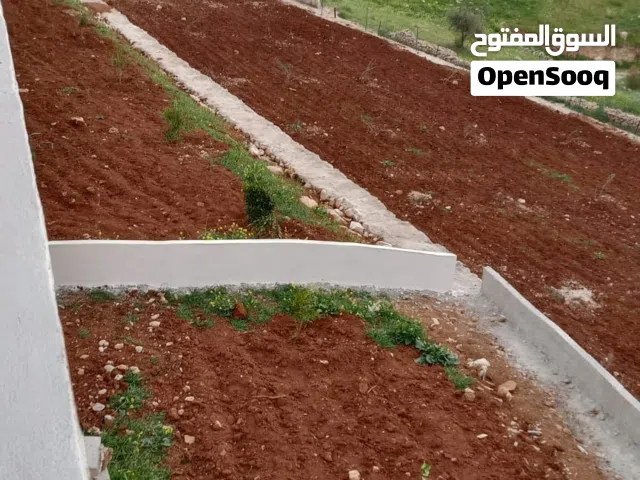 Farm Land for Sale in Zarqa Al-Alouk