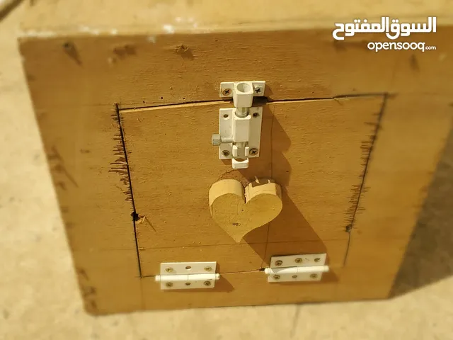 قفص مصمم خصيصا ليناسب الببغاء