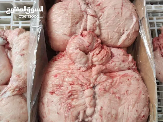 تصدير ذيل الغنم الإيراني بتراخيص كاملة دنبه ایرانی ارسال ازایران