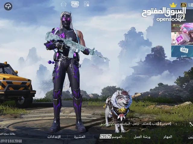 Pubg Accounts and Characters for Sale in Hebron