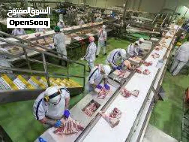 مصنع لحوم بالعبور