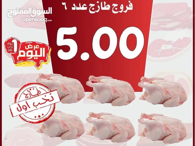 مين عندو صوص بلدي يكون من المنشيه بني حسن يكون بسعر مناسب ارجو الرد بسرعه لمن يهتم