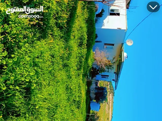 ارض للبيع . دورا كرما