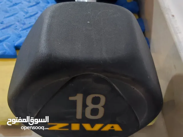 two 18 kg dumbbells high quality