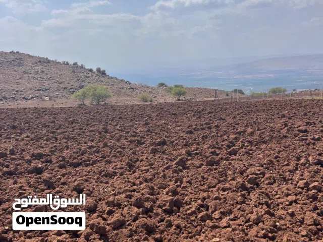 Mixed Use Land for Sale in Irbid Umm Qais