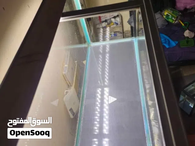 حوض سمك كبير جيد جدا