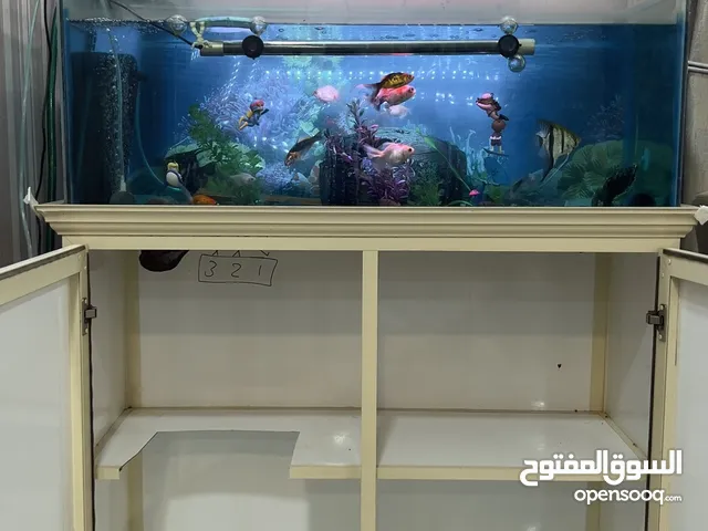 حوض سمك و كبت نظيف Aquarium and clean aquarium