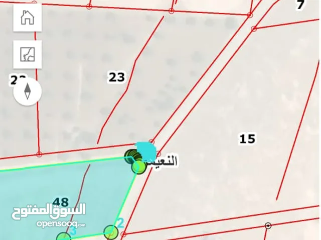 Farm Land for Sale in Irbid An-Nuayyimah