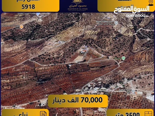 Farm Land for Sale in Salt Al Subeihi