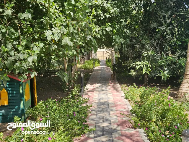 5 Bedrooms Farms for Sale in Al Batinah Barka