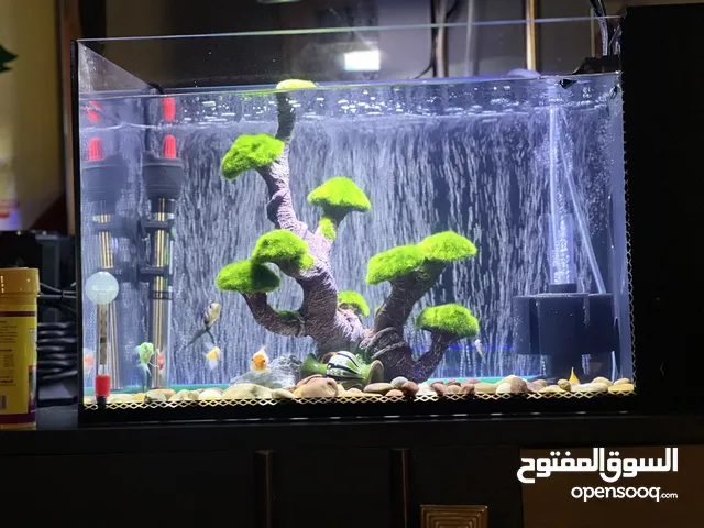 حوض اسماك زينه الترا كلير مع فلتر سامب