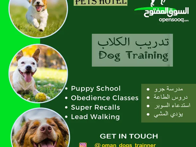 dogs training and for sale تدريب الكلاب للبيع
