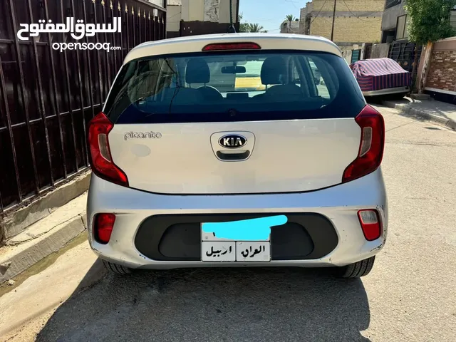 بيكانتو موديل 2019 رقم اربيل مكاني بغداد وكالة او تحويل جاهز