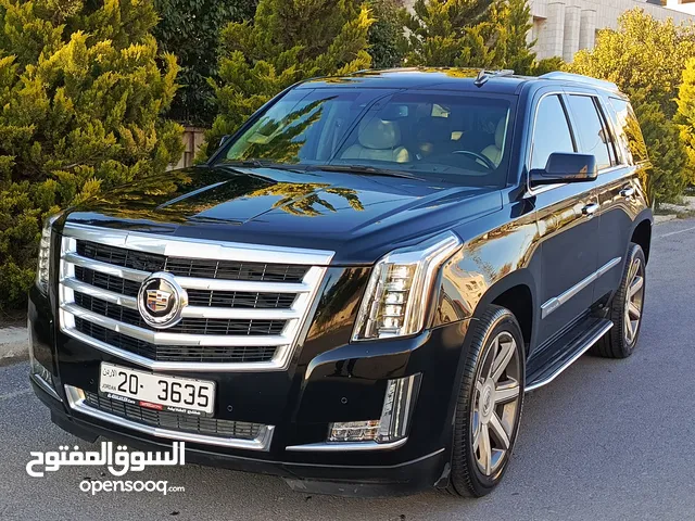 Used Cadillac Escalade in Amman