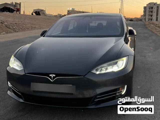 2019 تيسلا موديل S Standard Range