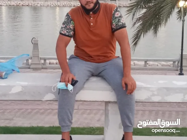 حسام محمود حسن