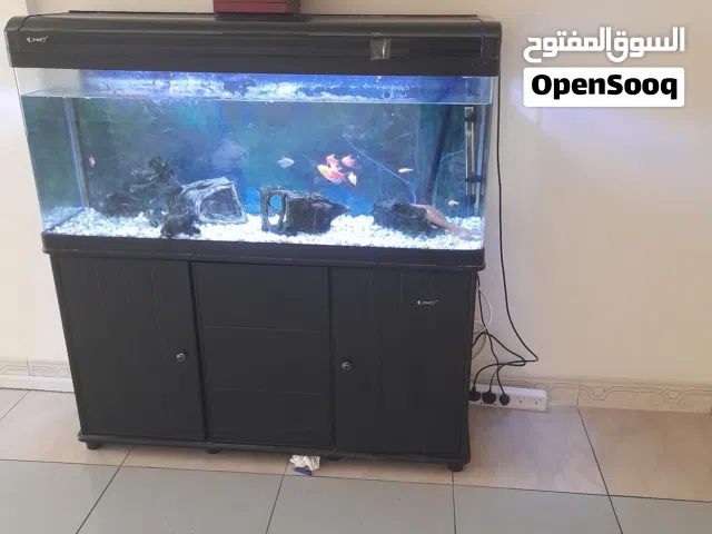 حوض سمك "كامري" بانورامي كامل بجميع ملحقاته مع مجموعة أسماك زينة منوعة