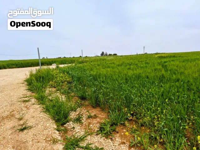 Farm Land for Sale in Madaba Al-Faisaliyyah