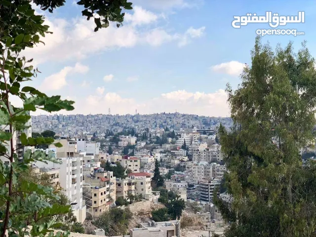 Mixed Use Land for Sale in Amman Jabal Al-Lweibdeh